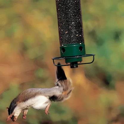 Squirrel Proof Bird Feeder